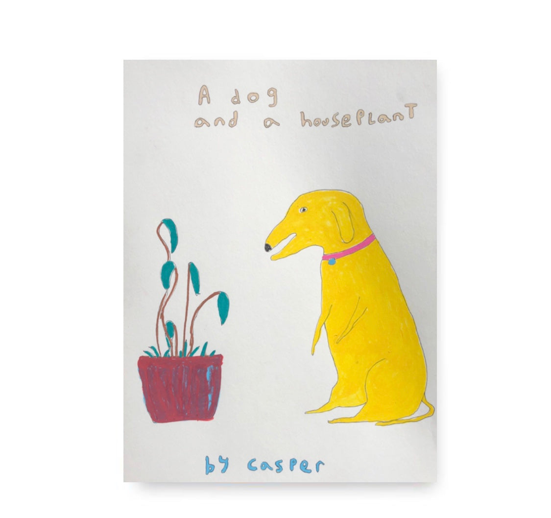 a dog and a houseplant