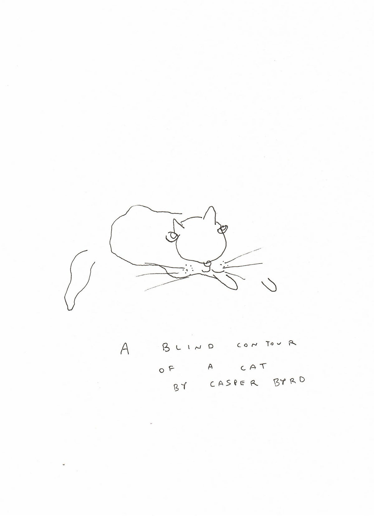 a blind contour of a cat